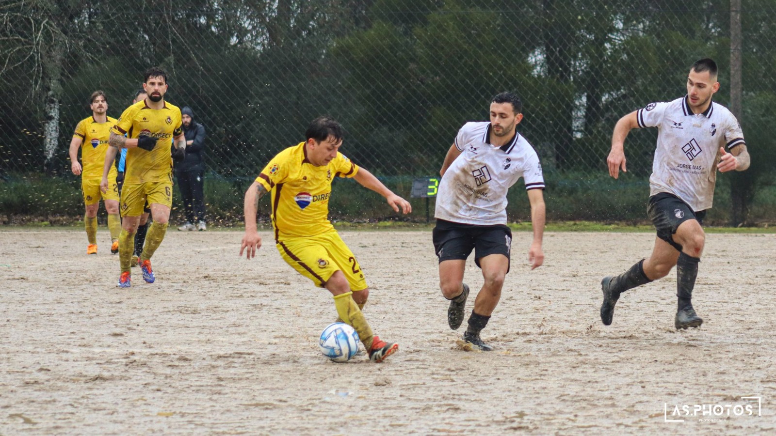 Feitos Cristelo 2025