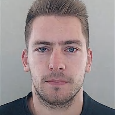 Hugo Gonçalves (Schmeichel)
