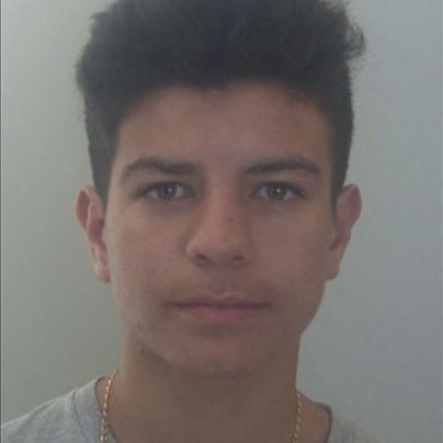 Diogo Ferreira