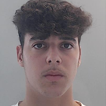 Guilherme Ribeiro Pedra