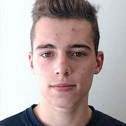 Luís Filipe Gonçalves (Luís)