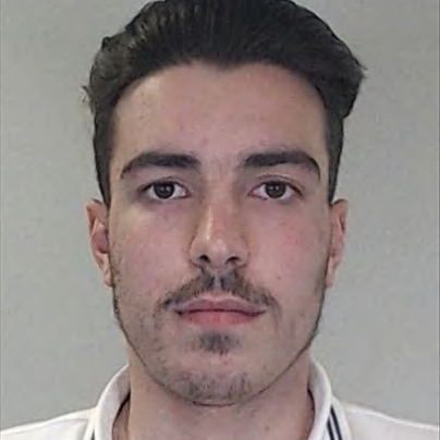 Sérgio Ferreira (Serginho)