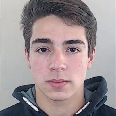 Rodrigo Monteiro Laranjeira