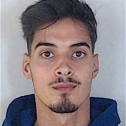 Cristiano Manuel Fernandes Gomes