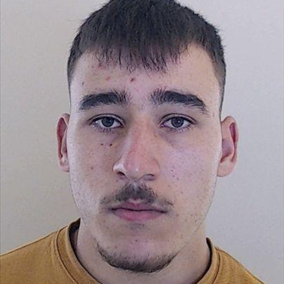 José António Neiva Gomes