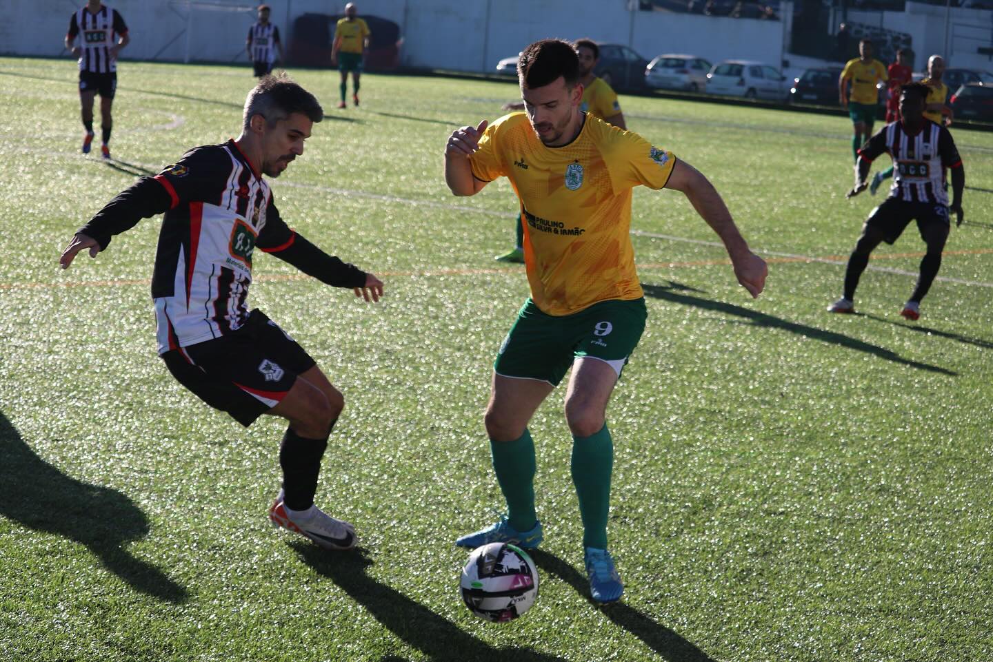 Leões da Serra Pereira 2024