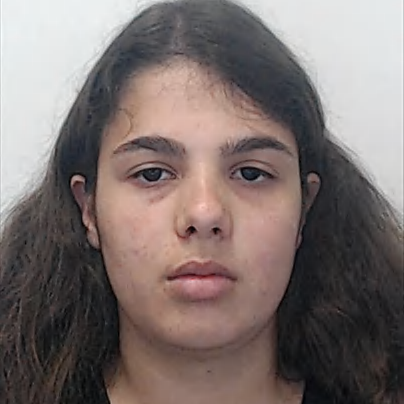 Sofia Manuela Vieira Gonçalves