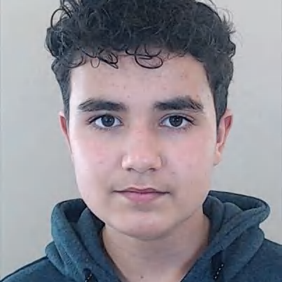 Daniel Filipe Oliveira Figueiredo