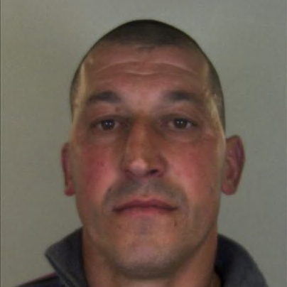 Manuel Ferreira (Casanova)