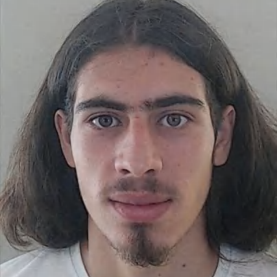 Tiago Gomes