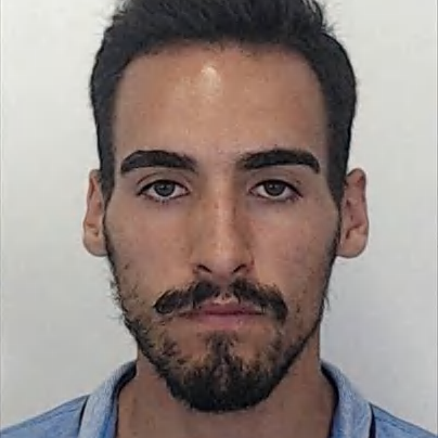 Diogo Henrique Ribeiro