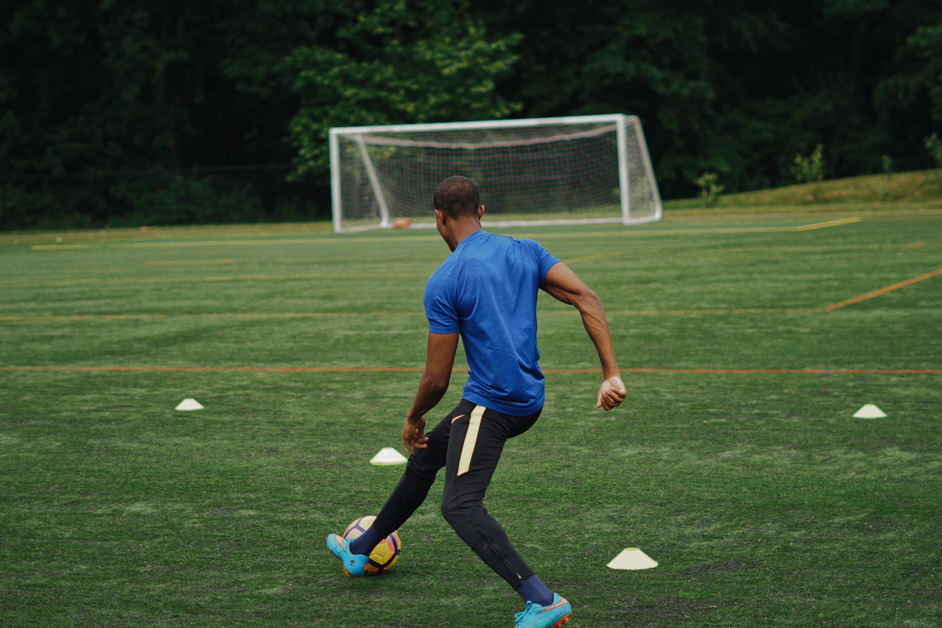treino