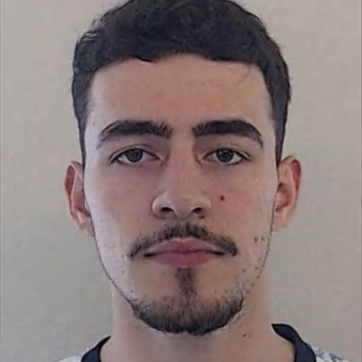 Vítor Miguel Mariz Araújo