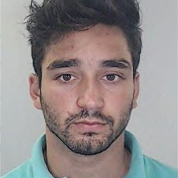 Afonso Henrique Da Costa Borges