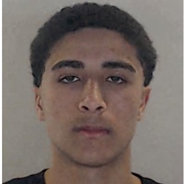 Hugo Coutada Carvalho