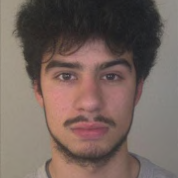 Luís Novais (Saises)