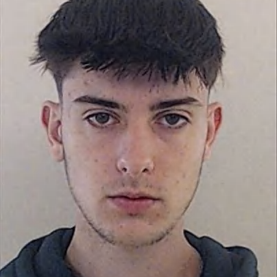 Bento Rodrigo Martins Simões