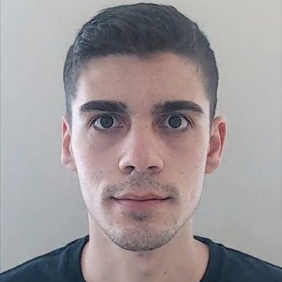 Luís Pedro Castro Martins