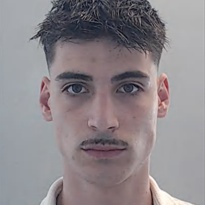 João Figueiras Ferreira