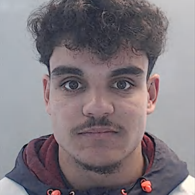 Sérgio Ricardo Pereira Carvalho