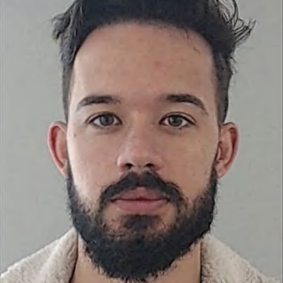 Domingos Novais (Novais)