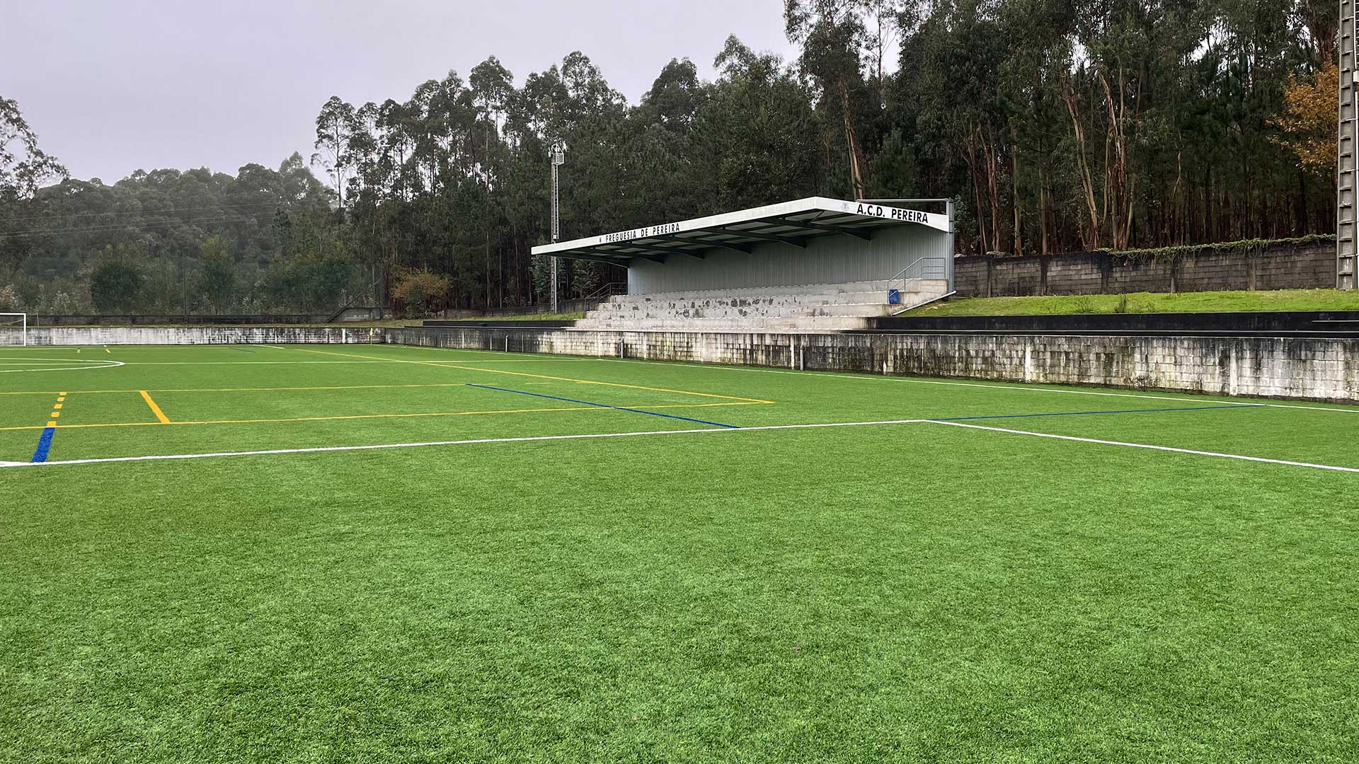 Campo de Pereira