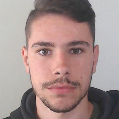 Vasco Luís Provedora
