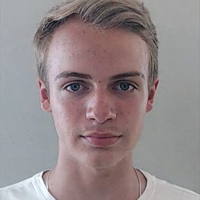 Otávio Berezuk Da Silva