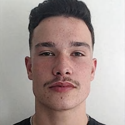 Ricardo Campos Lopes