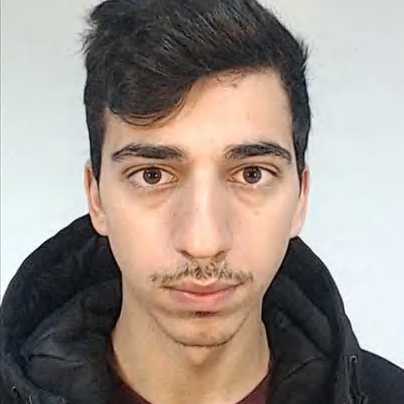 Bruno Miguel Campos De Araújo