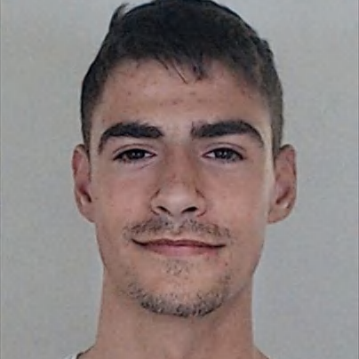 Dário Rodrigues