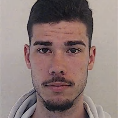 Tiago Gonçalves Sá