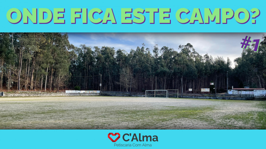 concurso,campo,campo1