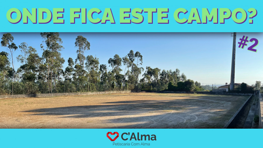 concurso,campo,campo2