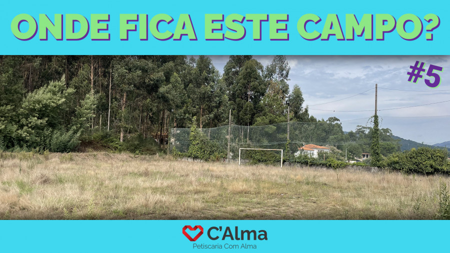 consucrso,campo5