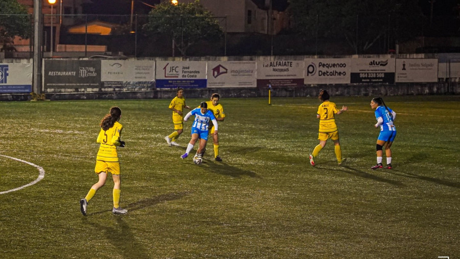 Cristelo feminino 2026